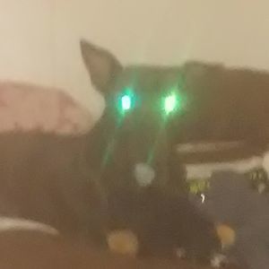 Meet your Posher, Jeff